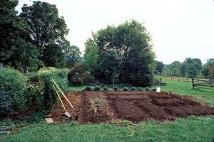 8 Steps For Making Better Garden Soil – Eco Snippets