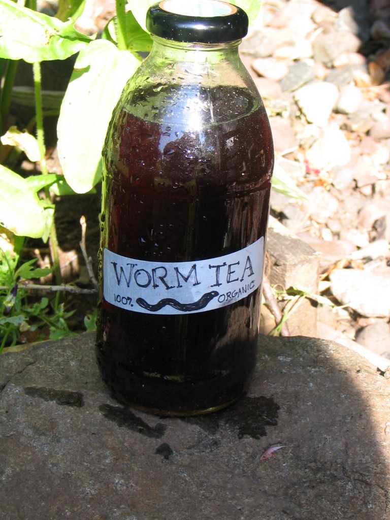 Quick & Easy, Secret Brew To Grow Your Plants 3 Times Faster…