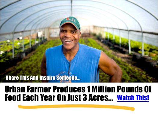Urban Farmer Produces 1 Million Pounds Of Food Each Year On Just 3 Acres…
