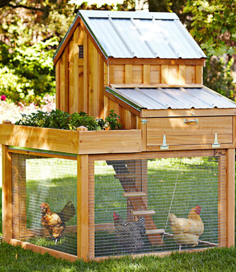 12 Unconventional But Very Stylish Chicken Coop Ideas...