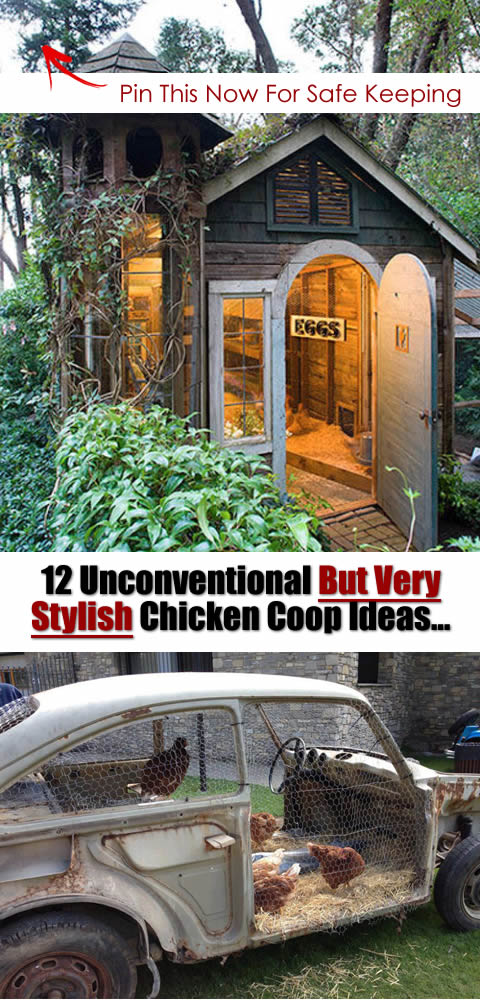 12 Unconventional But Very Stylish Chicken Coop Ideas...