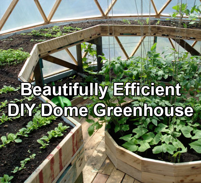 A Beautifully Constructed DIY Dome Greenhouse...