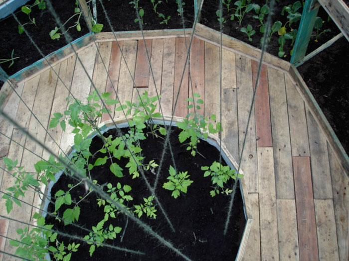 A Beautifully Constructed DIY Dome Greenhouse...