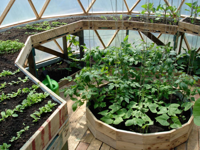 A Beautifully Constructed DIY Dome Greenhouse...