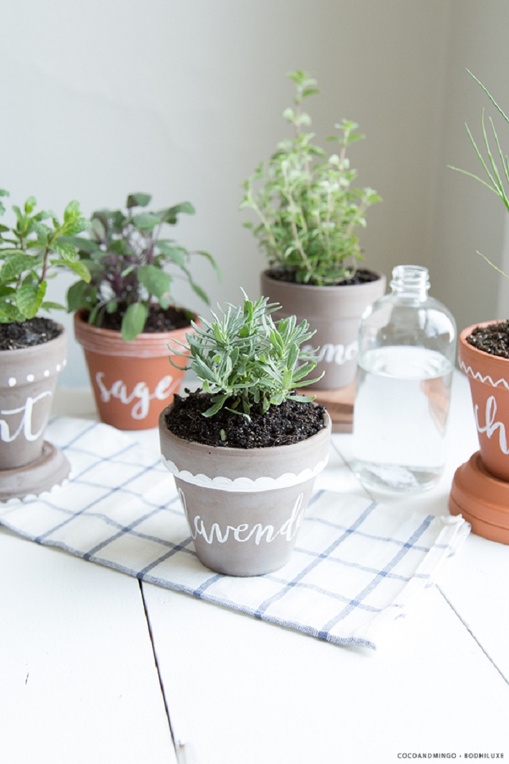 Inspiring Low Budget, Unique Ideas For Herb Containers...