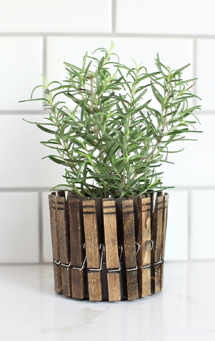 Inspiring Low Budget, Unique Ideas For Herb Containers...