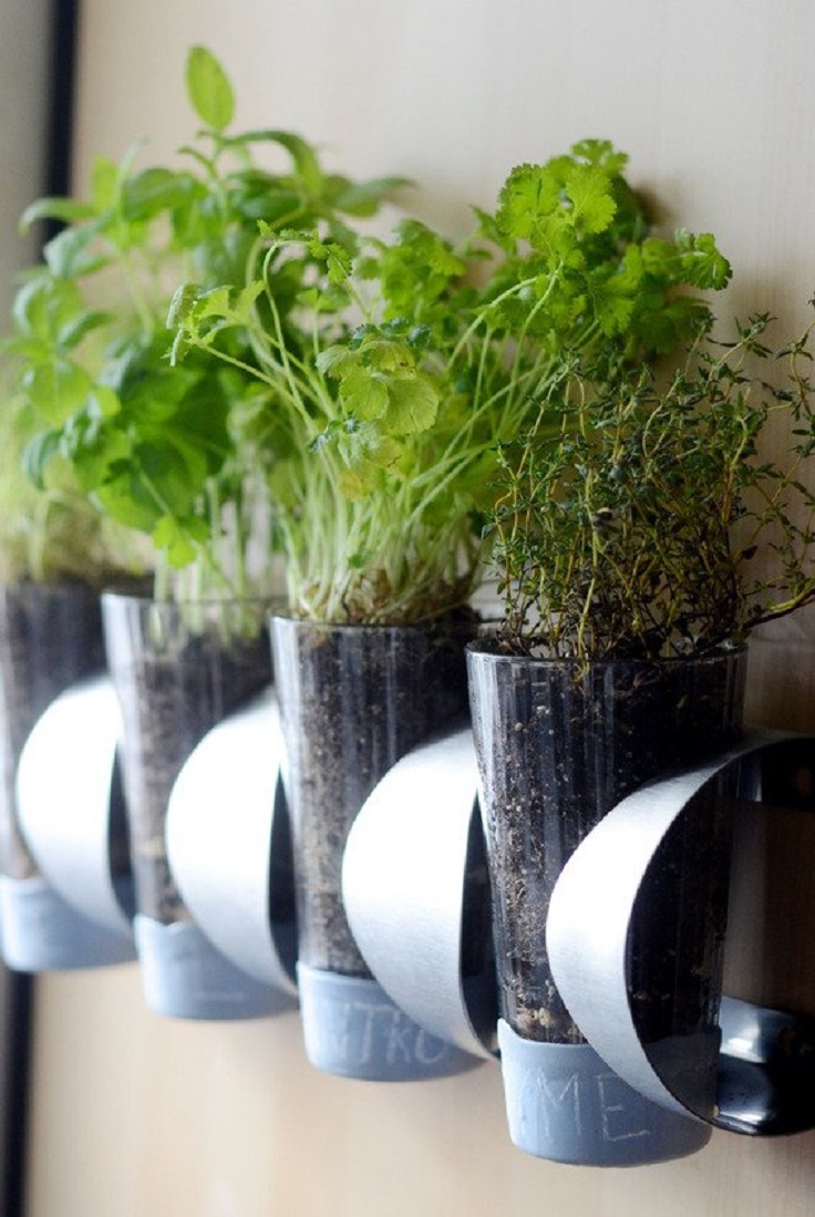 Inspiring Low Budget, Unique Ideas For Herb Containers...