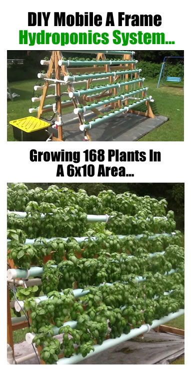 How To Grow 168 Plants In A 6 x 10 Area With A DIY Vertical A-Frame Hydroponic System...