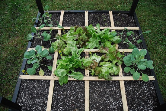 10 Intensive Gardening Methods That Really Work To Maximize Available Space...
