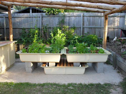 10 Intensive Gardening Methods That Really Work To Maximize Available Space...