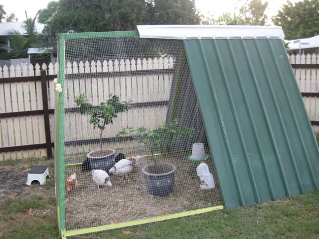 An Old Swing Set Frame Turned Into A DIY Chicken Coop...