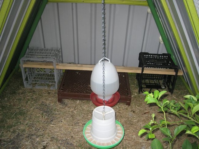 An Old Swing Set Frame Turned Into A DIY Chicken Coop...