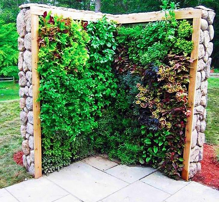 Amazing Vertical Salad Garden Ideas – An Edible Wall Of Greens…