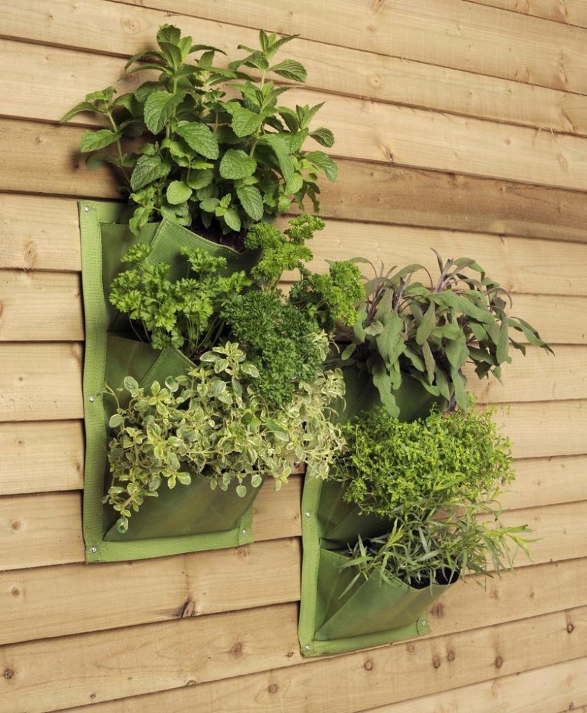 Amazing Vertical Salad Garden Ideas – An Edible Wall Of Greens…