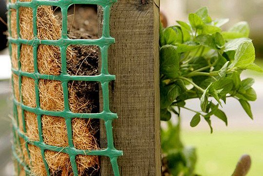 Amazing Vertical Salad Garden Ideas – An Edible Wall Of Greens…