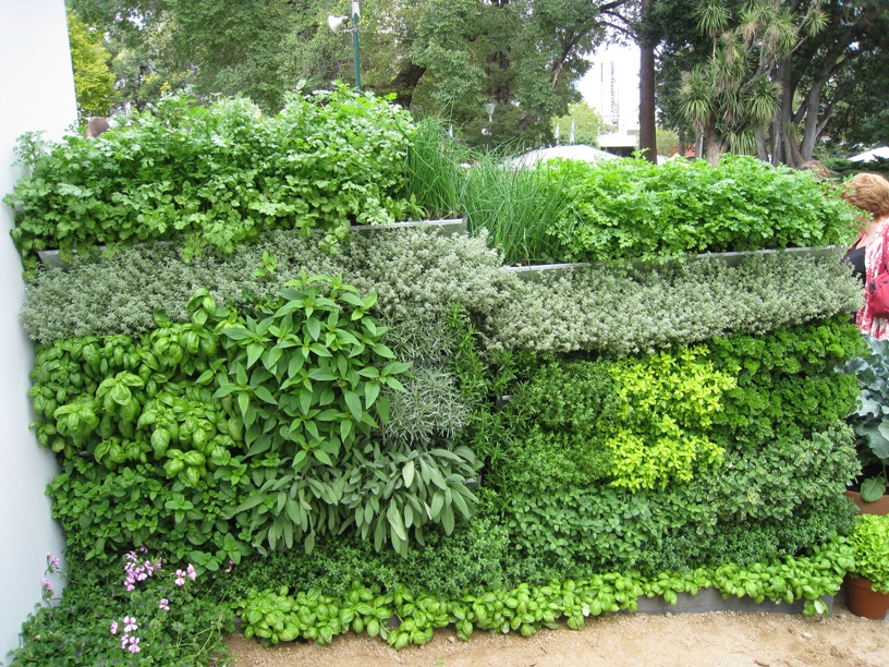 Amazing Vertical Salad Garden Ideas – An Edible Wall Of Greens…