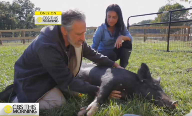 Former Comedian Jon Stewart Buys Farm, Creates Sanctuary For Abused Factory Farm Animals...