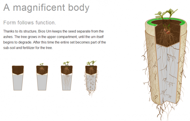 How To Turn Into A Tree After You Die...