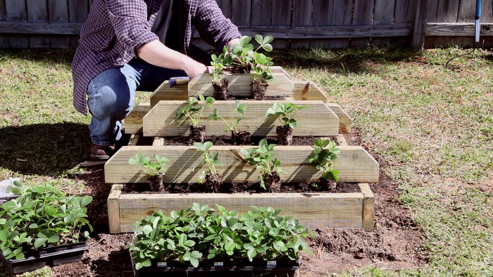 How To Build A Vertical Strawberry Or Herb Pyramid...