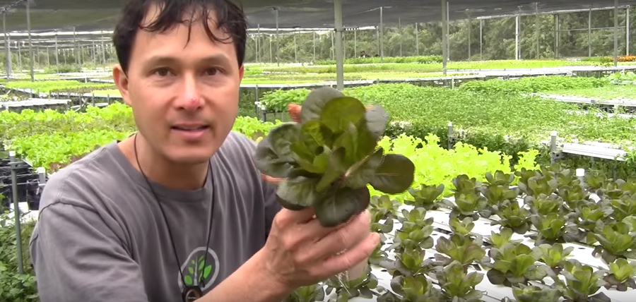 Hydroponic Farm Grows 350 Varieties Of Vegetables With 90 Minerals To Grow The Best Tasting Food...