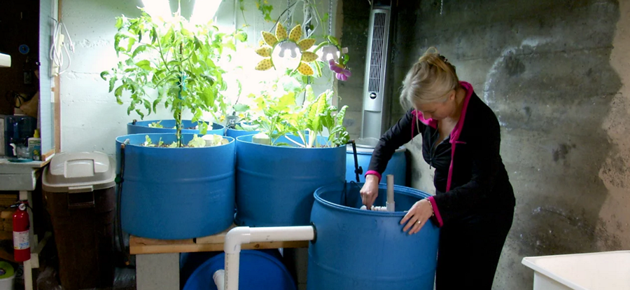 Small Scale Aquaponics – The Beauty Of Bringing Fish & Plants Together…