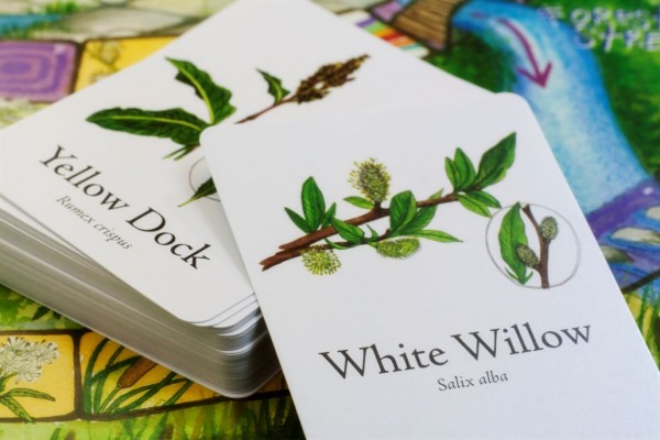 This Cool Board Game Teaches Children About Edible & Medicinal Plants & Herbs...