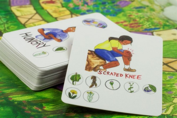 This Cool Board Game Teaches Children About Edible & Medicinal Plants & Herbs...