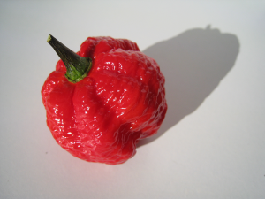 7 Pot Chilli Pepper...