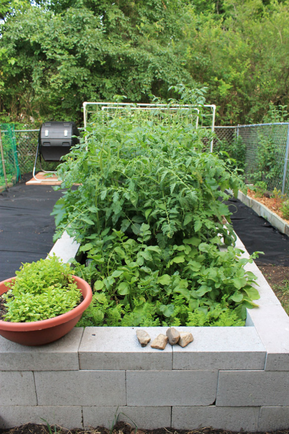 Making A Raised Garden Bed With Cinder Blocks...