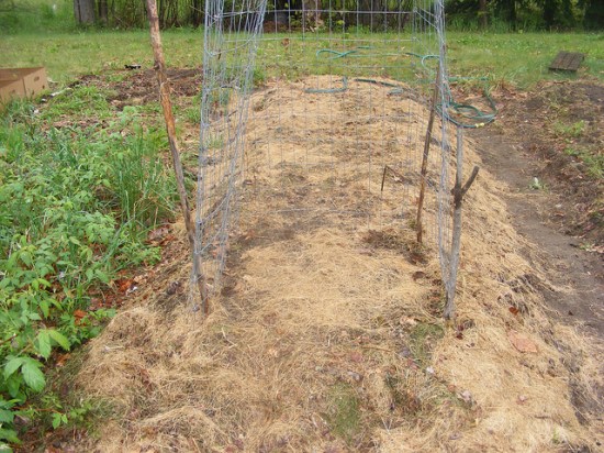 Hugelkultur Raised Bed Gardening 101...