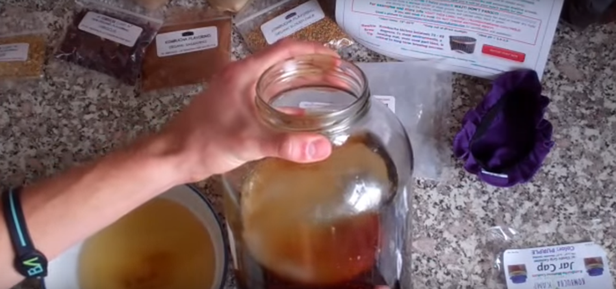 How To Make (Brew) An Organic Gallon Of Kombucha For $1...