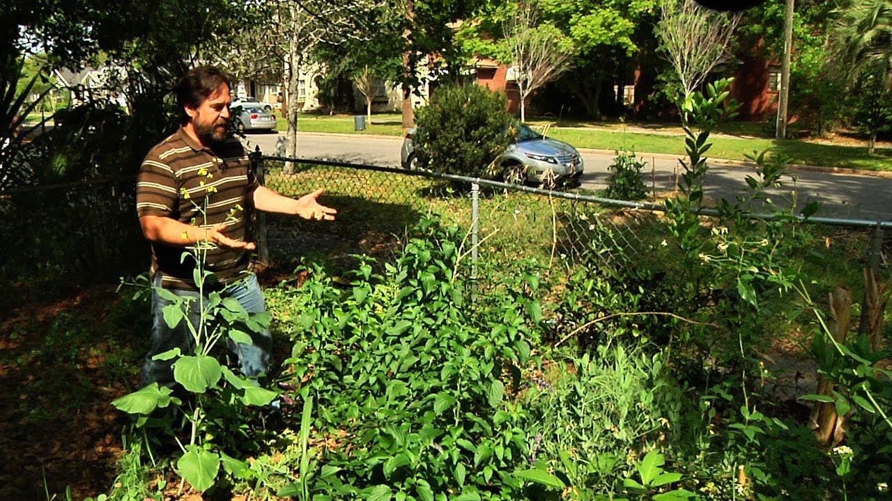 A Permaculture Garden Paradise: An Inspirational Tour Of One Mans Awesome Permagarden...