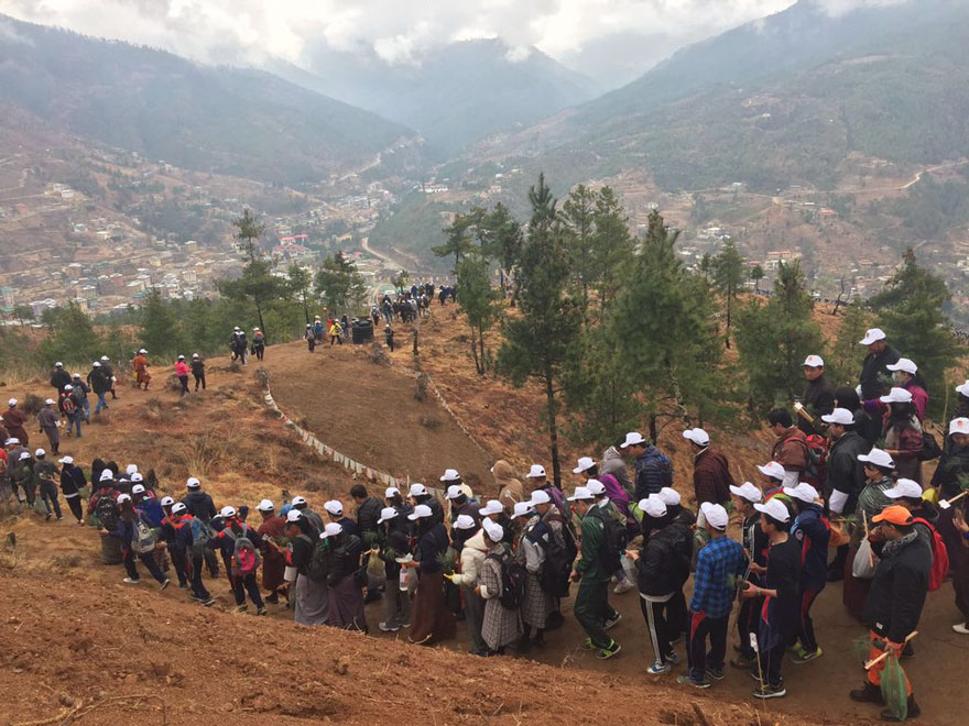 Bhutan, The World’s Most Eco-Friendly Country, Just Planted 108,000 Trees To Celebrate Their New Prince...