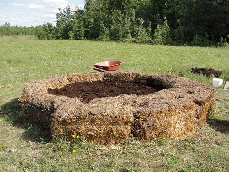 Lasagna Gardening: Here’s How To Grow Organic Vegetables Easily (Even Without A Garden!)...