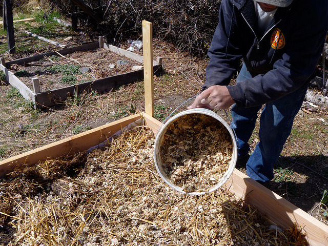 Lasagna Gardening: Here’s How To Grow Organic Vegetables Easily (Even Without A Garden!)...