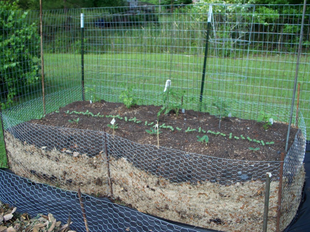 Lasagna Gardening: Here’s How To Grow Organic Vegetables Easily (Even Without A Garden!)...