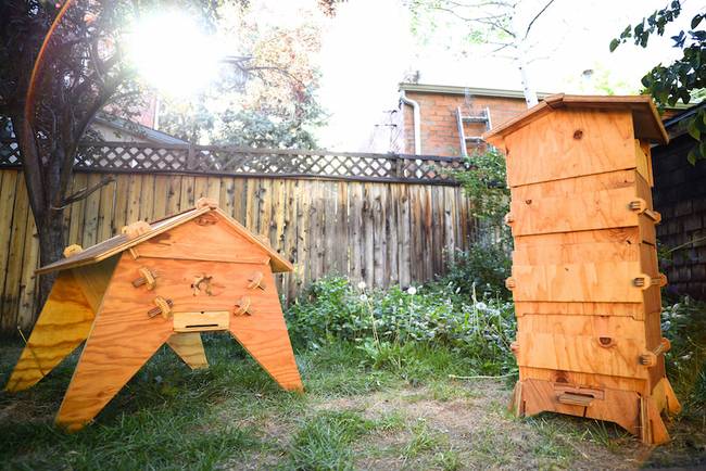 DIY Beekeeping: Download & Print A Smart Beehive Kit With Open Source Beehive...