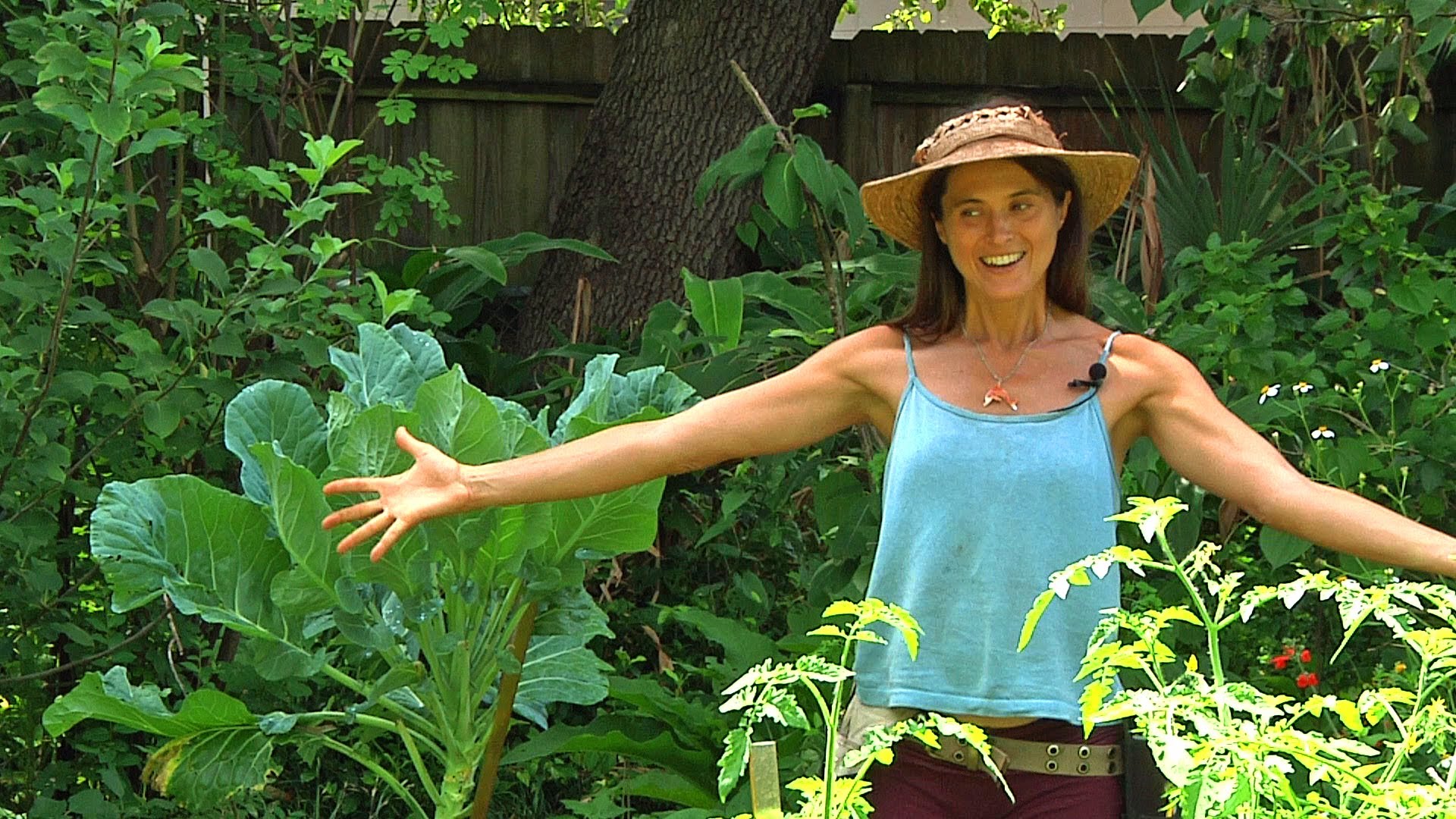 A Backyard Garden With Self-Sustaining Fruits, Vegetables, Herbs, Medicines, Water, Fragrances & Wildlife...