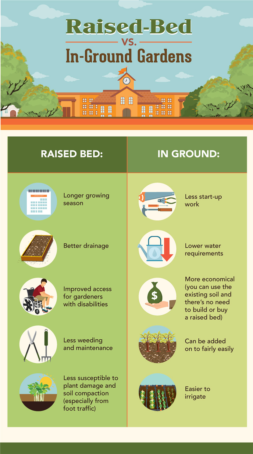 Getting Schooled In The Garden – How To Start A School Garden...