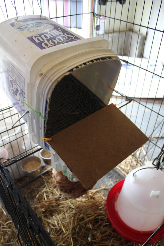 Top 10 Ideas For Chicken Nesting Boxes...