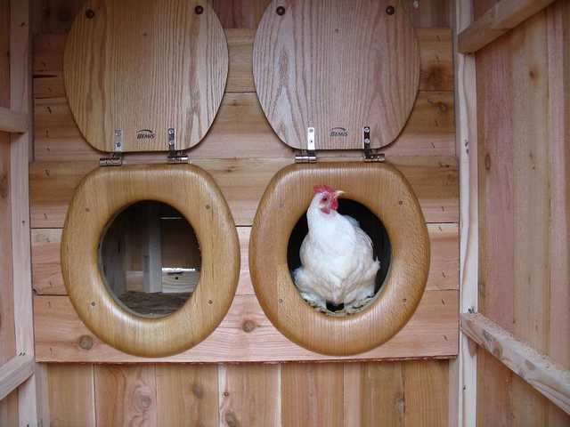 Top 10 Ideas For Chicken Nesting Boxes...