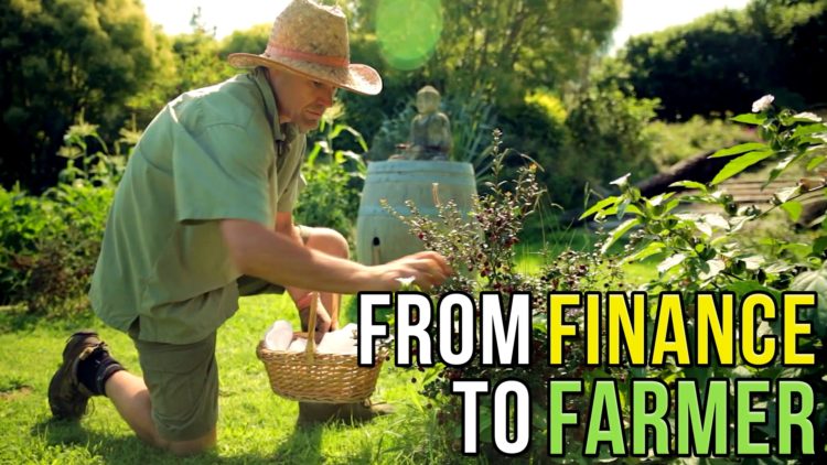 From Finance to Farmer - Incredible Permaculture Farm Created in Just 3 Years!