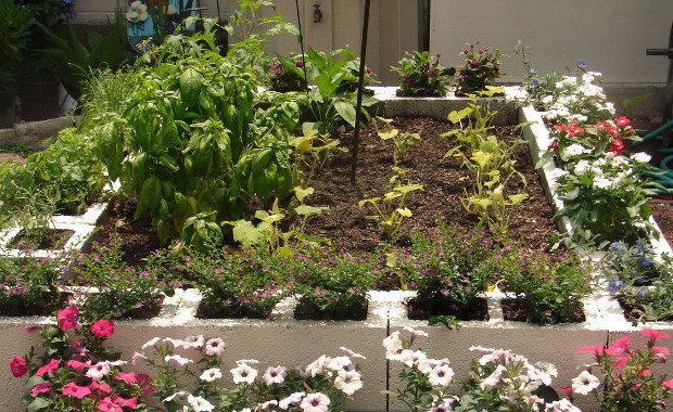 15 Brilliant Garden Edging Ideas You Can Do at Home...