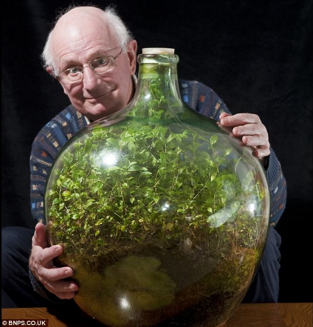 This Garden In A Bottle Has Been Watered Once In 54 Years...