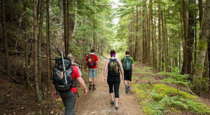 Doctors Explain How Hiking Actually Changes Our Brains...
