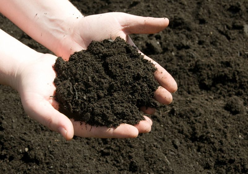 Antidepressant Microbes In Soil – How Dirt Makes You Happy...