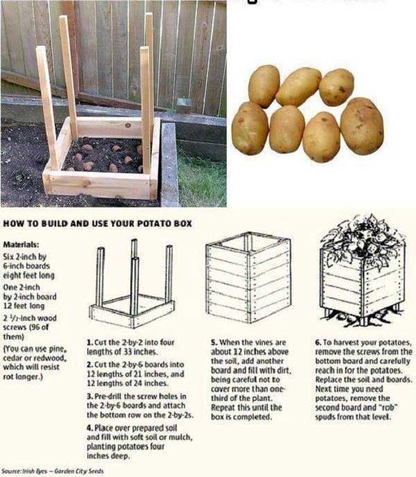 How To Build The Best Potato Box Ever...