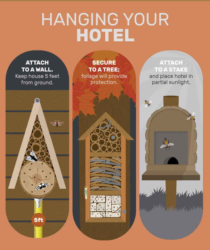 Attract Beneficial Insects & Bees With Your Own Insect Hotel...