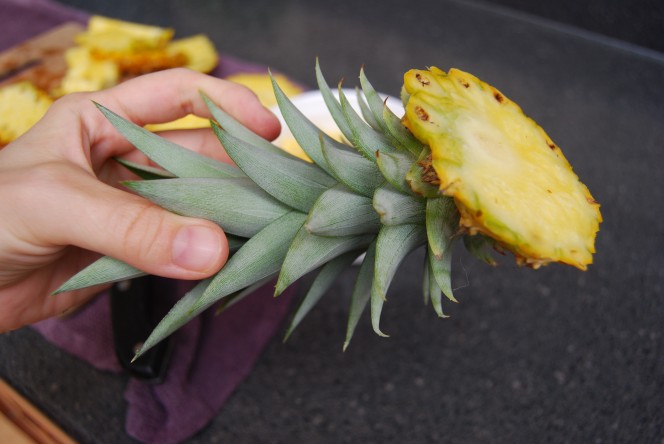 How To Easily Grow Your Own Pineapples At Home…