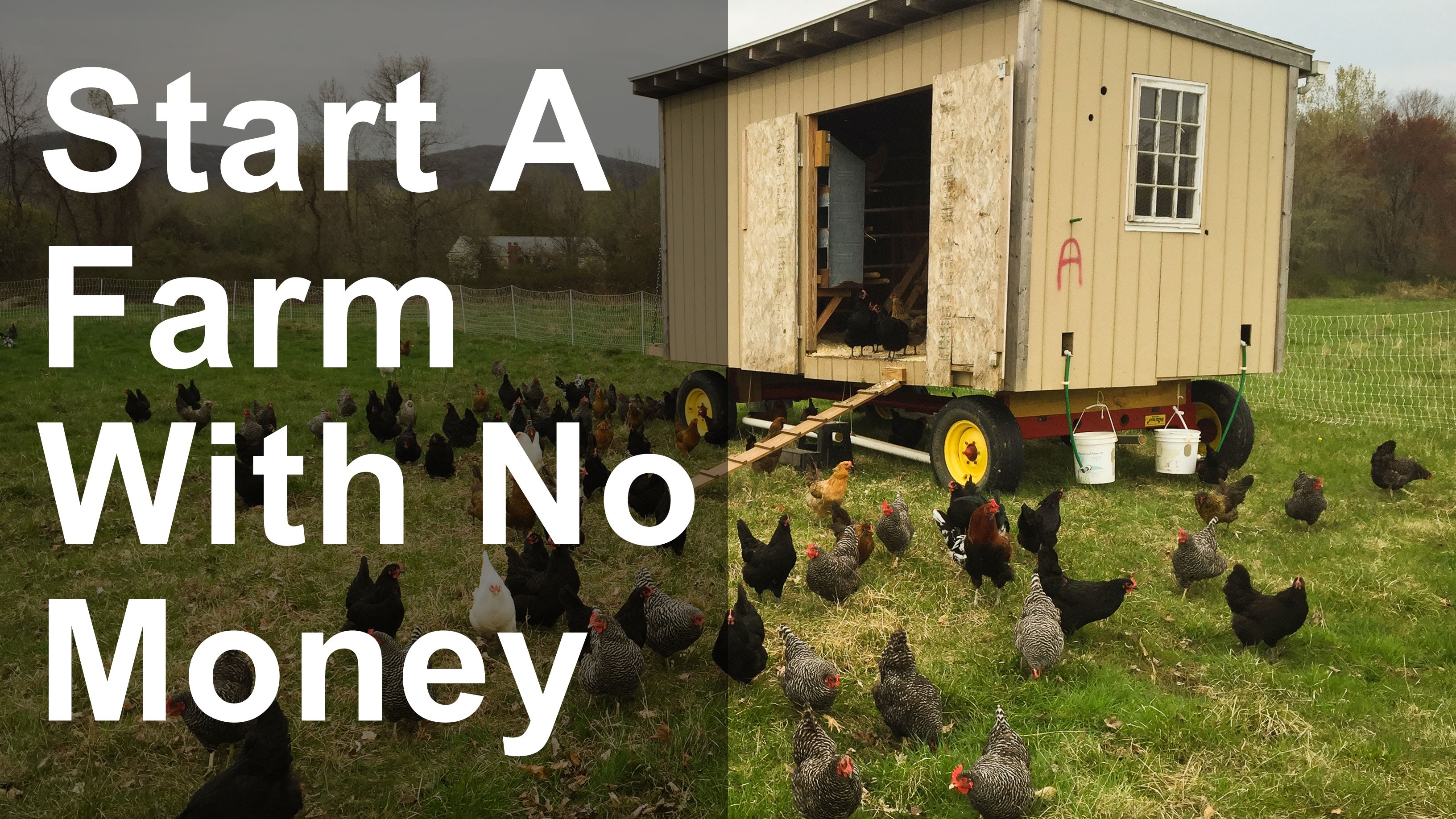 How To Start A Farm With No Money...